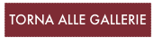 TORNA ALLE GALLERIE