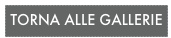 TORNA ALLE GALLERIE