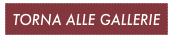 TORNA ALLE GALLERIE